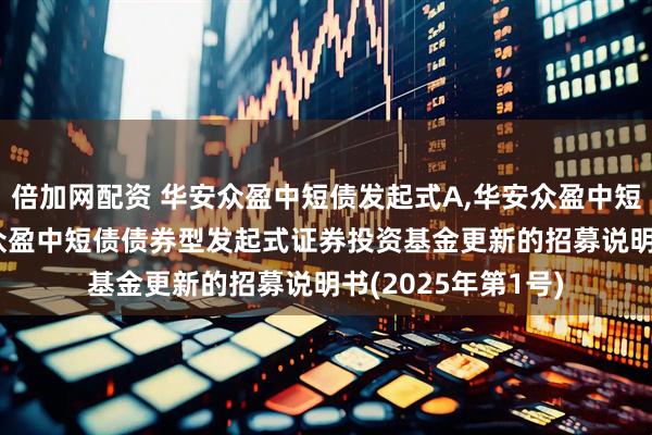 倍加网配资 华安众盈中短债发起式A,华安众盈中短债发起式C: 华安众盈中短债债券型发起式证券投资基金更新的招募说明书(2025年第1号)