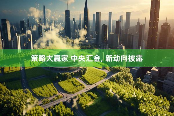 策略大赢家 中央汇金, 新动向披露