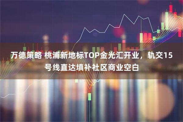 万德策略 桃浦新地标TOP金光汇开业，轨交15号线直达填补社区商业空白