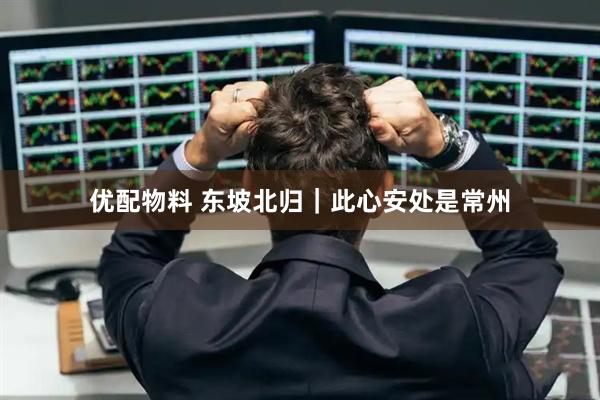 优配物料 东坡北归｜此心安处是常州