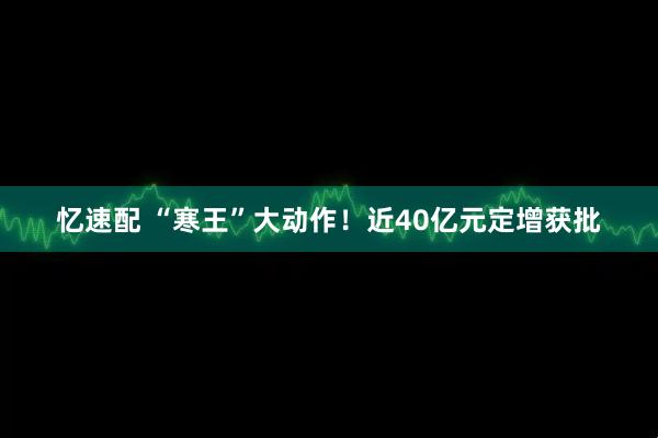忆速配 “寒王”大动作！近40亿元定增获批