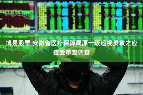 博易股票 安徽省医疗保障局原一级巡视员袁之应接受审查调查